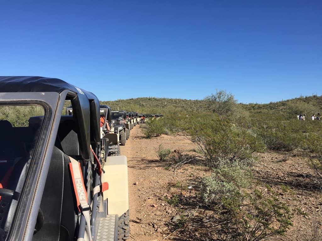 Expert Guide Narration