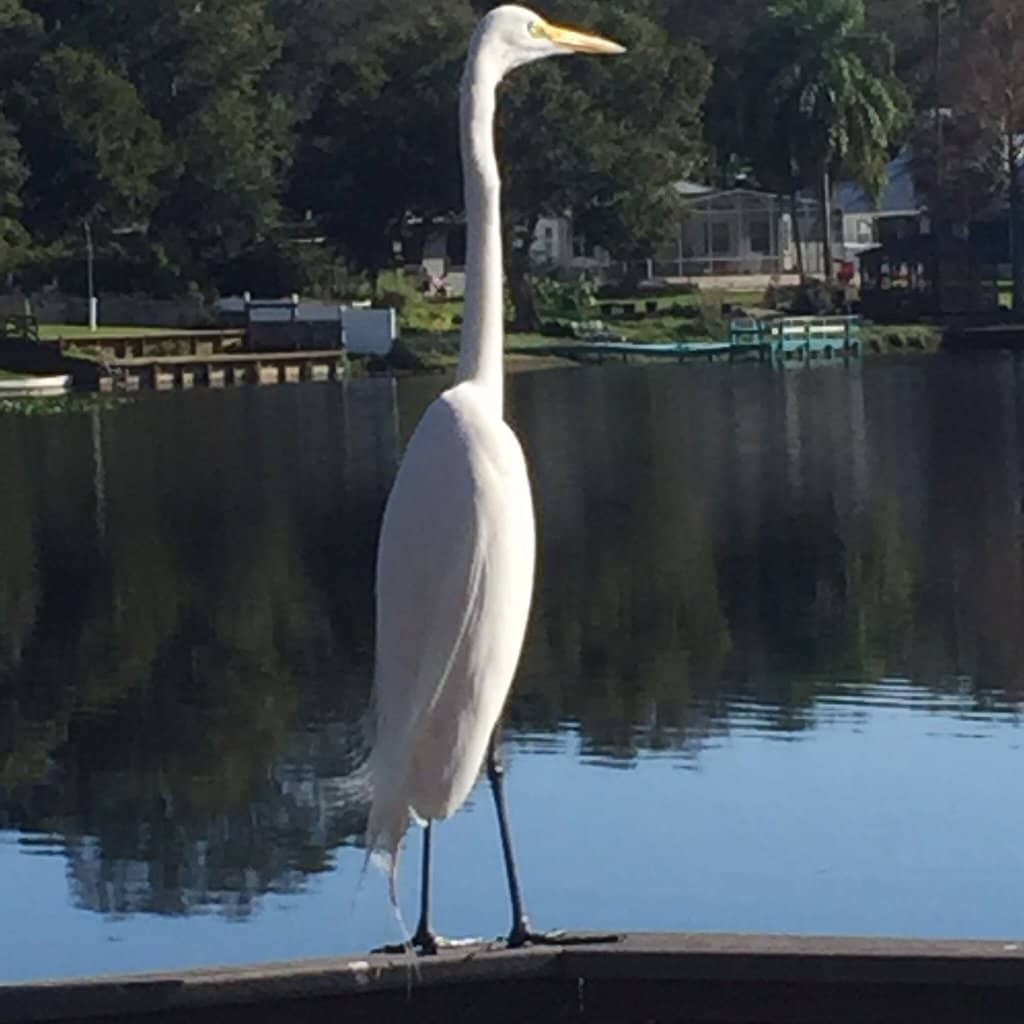 Spectacular Basketball Courts
