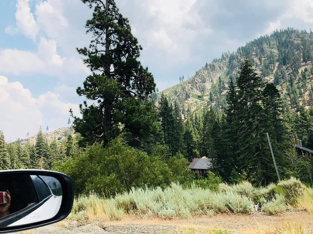 Ridge Rider Mountain Coaster