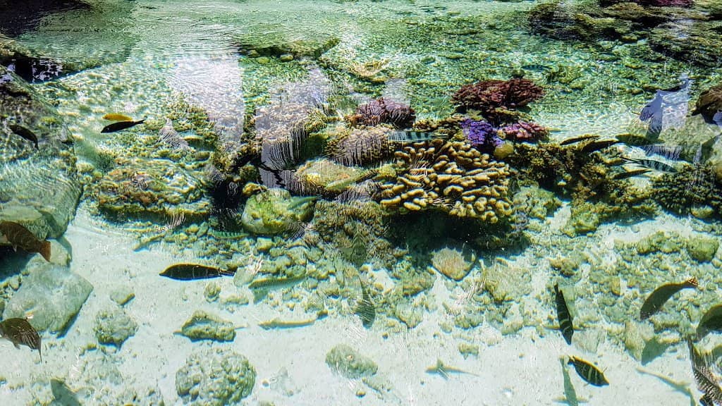 Interactive Learning