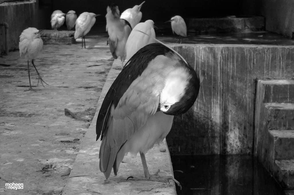 Family-Friendly Atmosphere