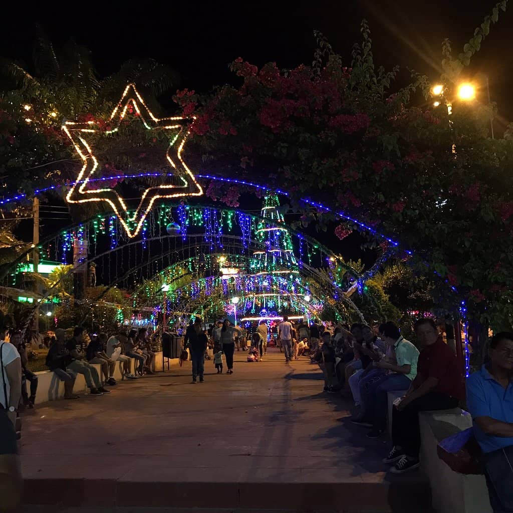 Bustling Cafes & Restaurants