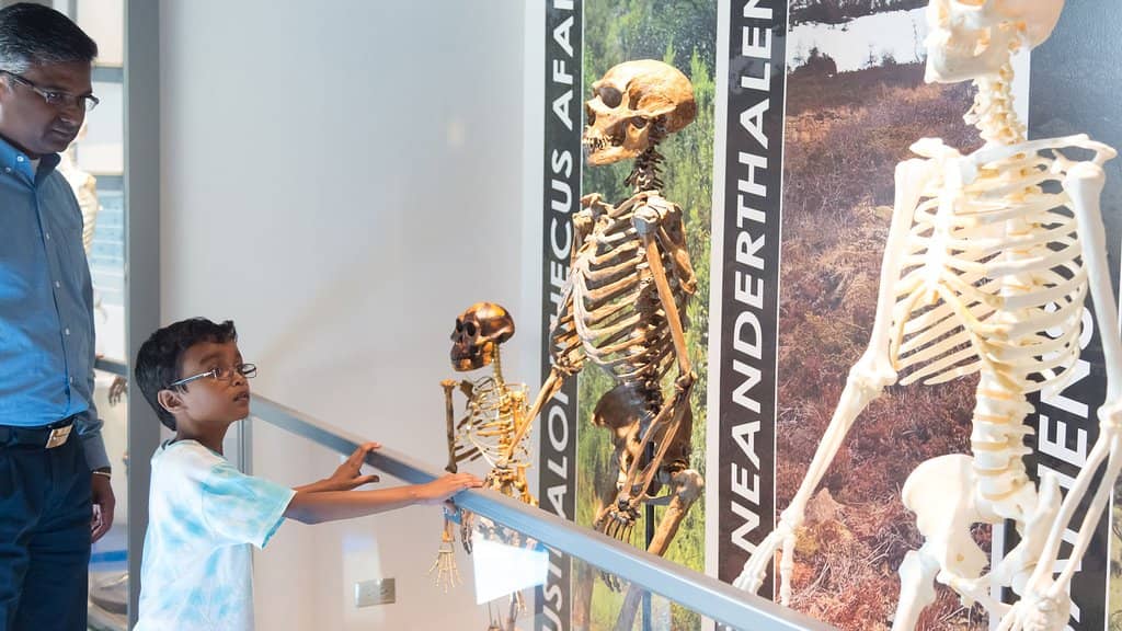 Critter & Insect Exhibits