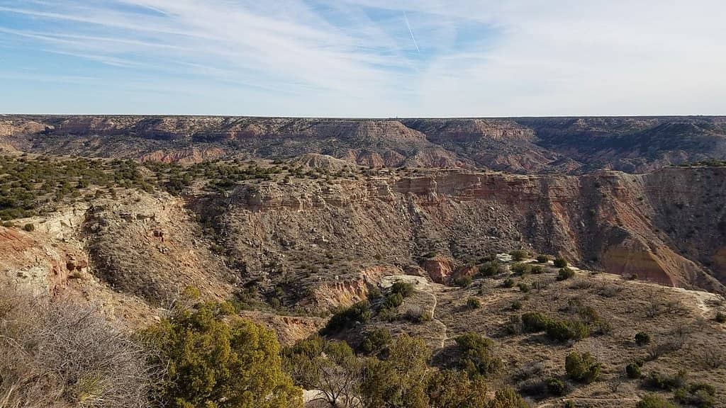 CCC History Exhibits