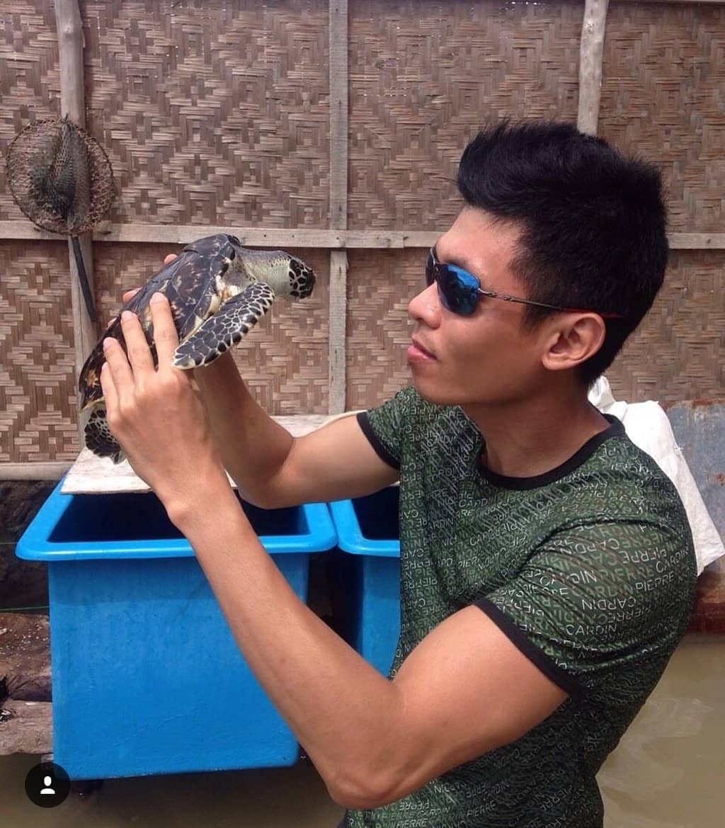 Snorkeling with Sea Turtles