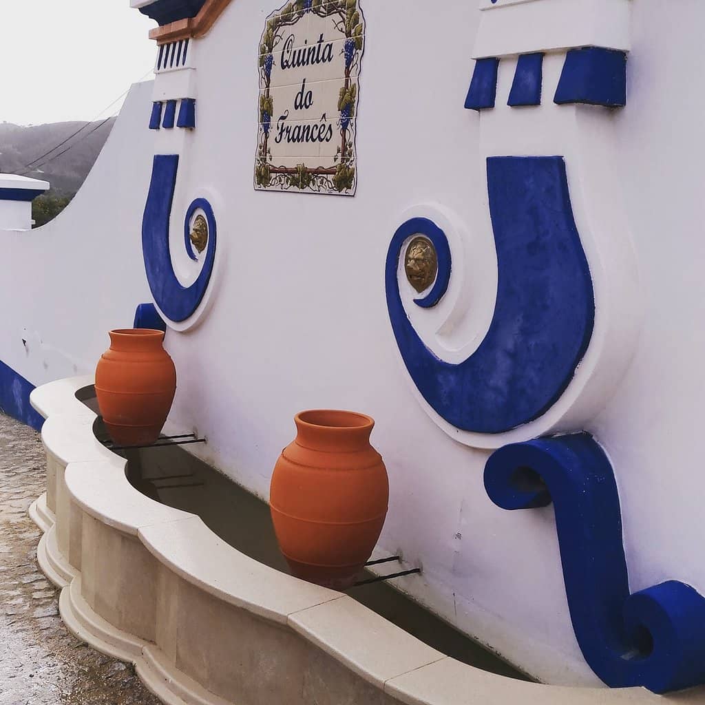 Scenic Vineyard Views