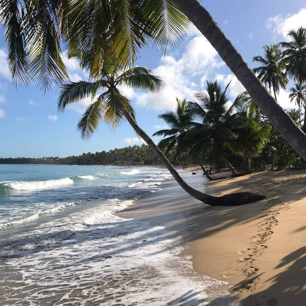 Pristine Sandy Shores