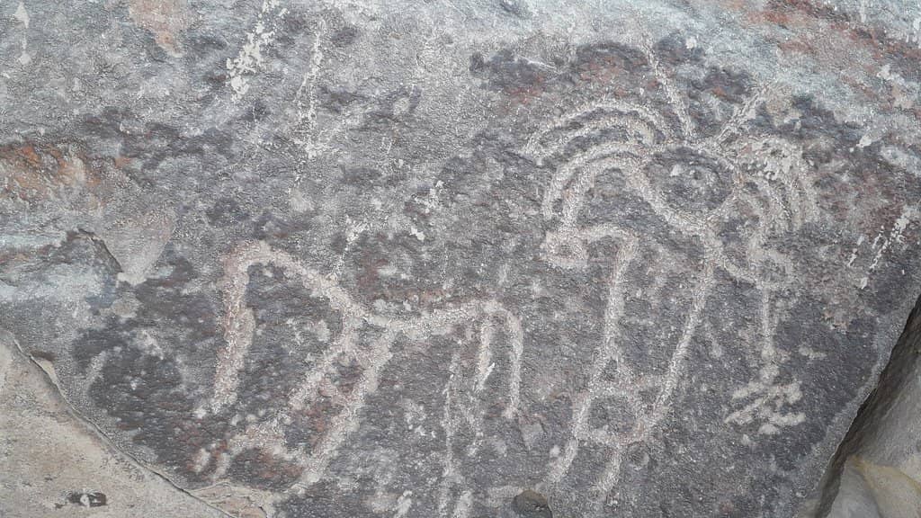 Numbered Petroglyph Trail