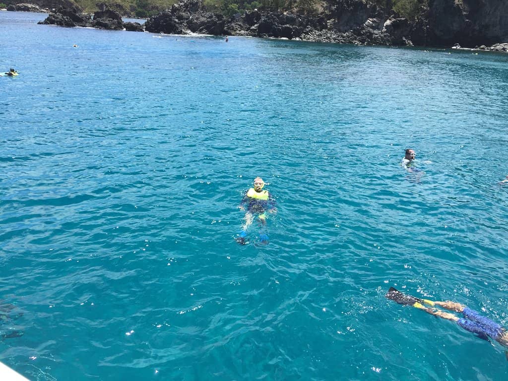 Abundant Marine Life