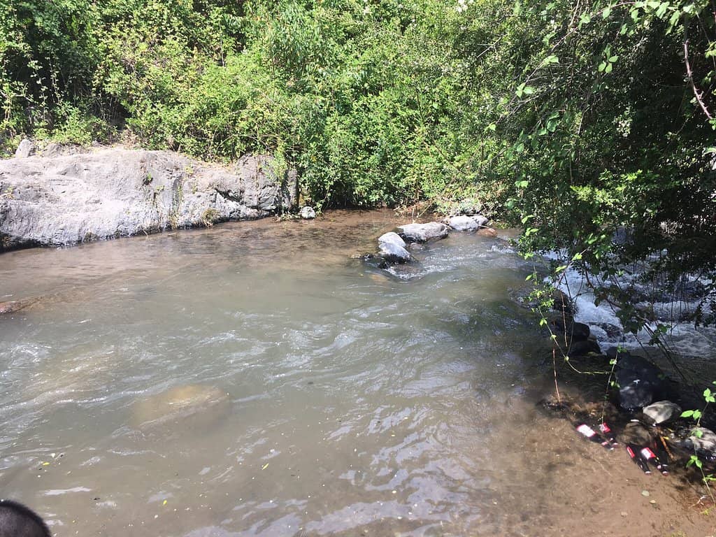 Riverside Picnic & BBQ Spots