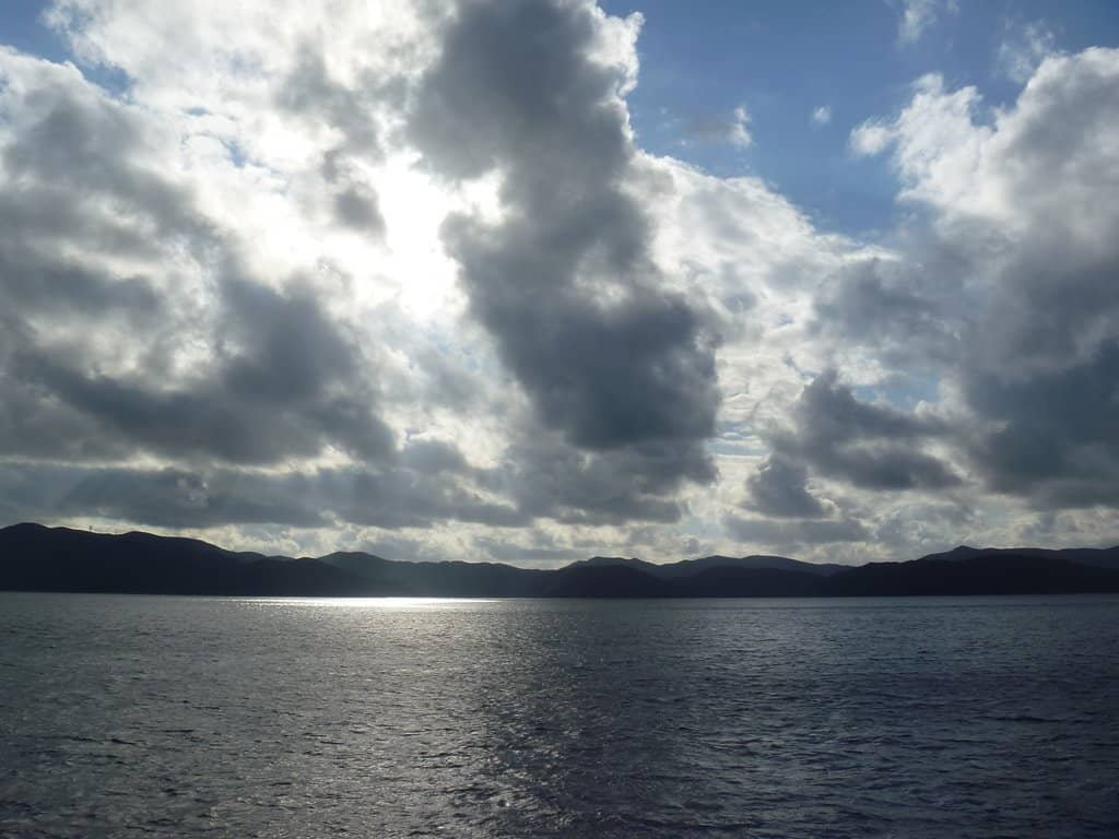 Seafood BBQ Delights