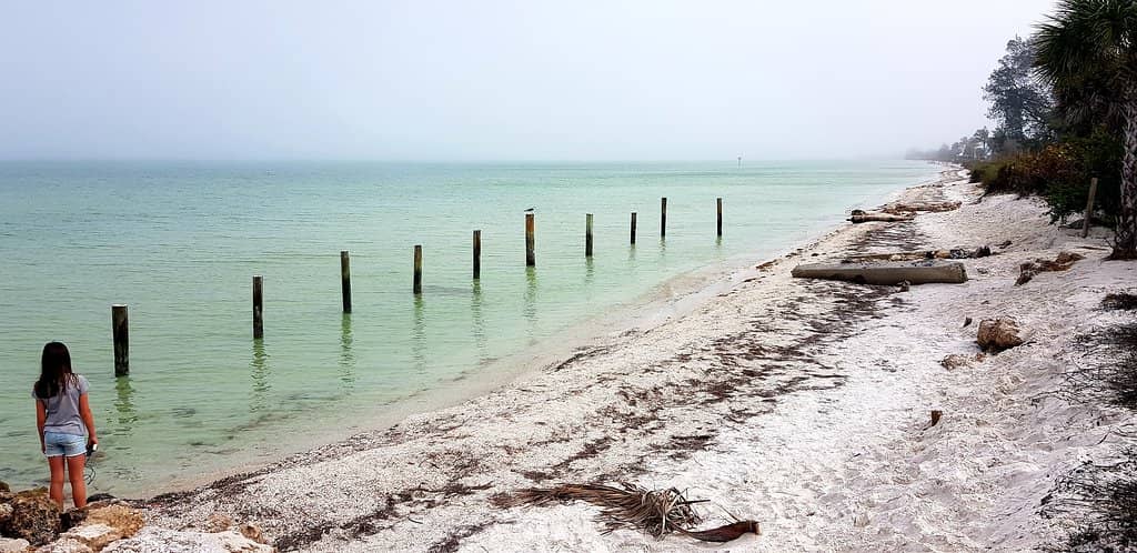 Anna Maria City Pier