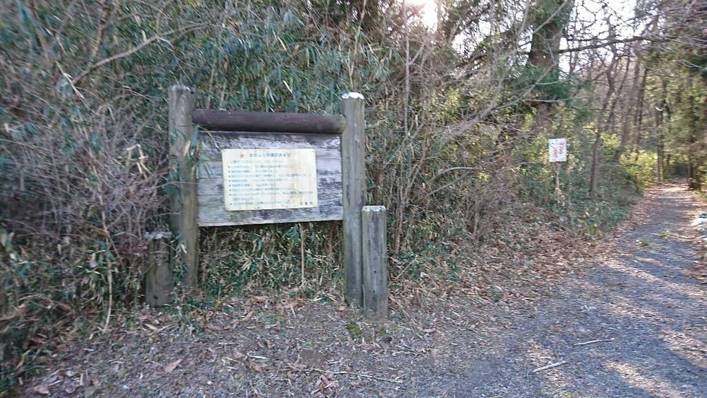 Seasonal Flower Fields