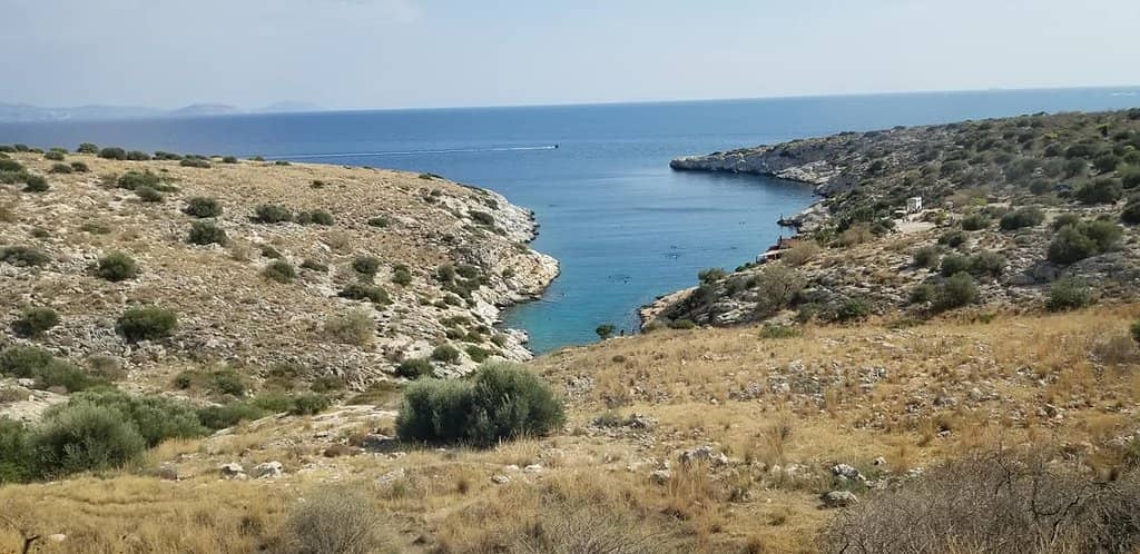 Exceptional Staff Service