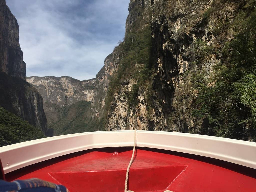 Abundant Wildlife Sightings