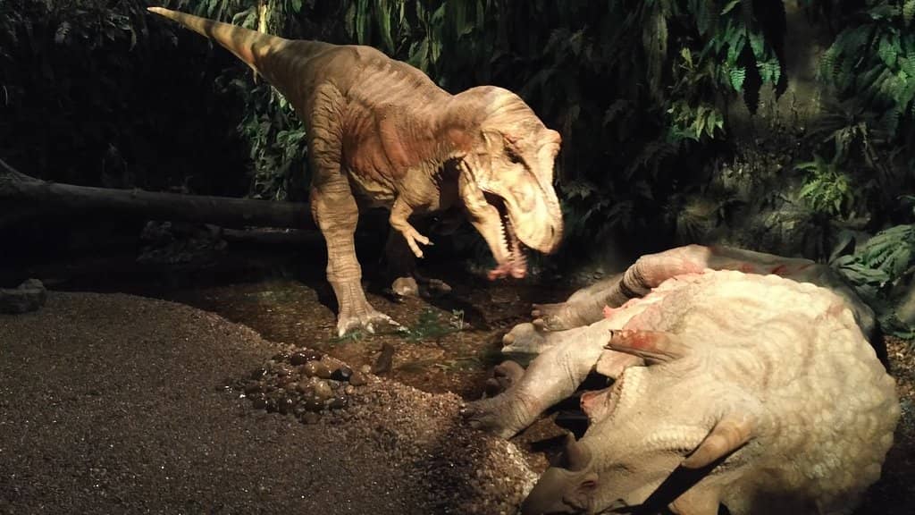 Immersive Prehistoric Worlds