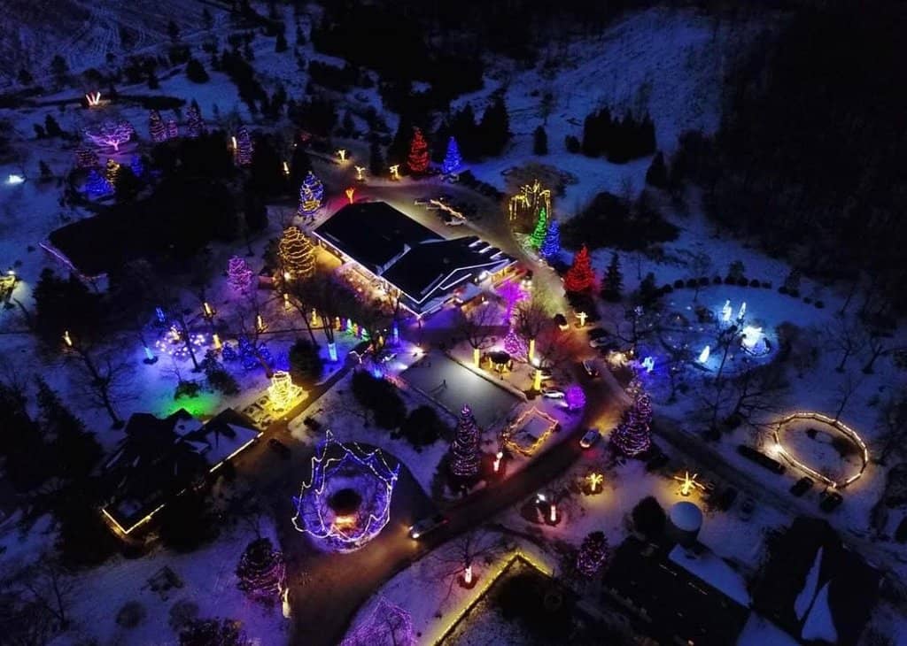 Live Music & Tribute Shows