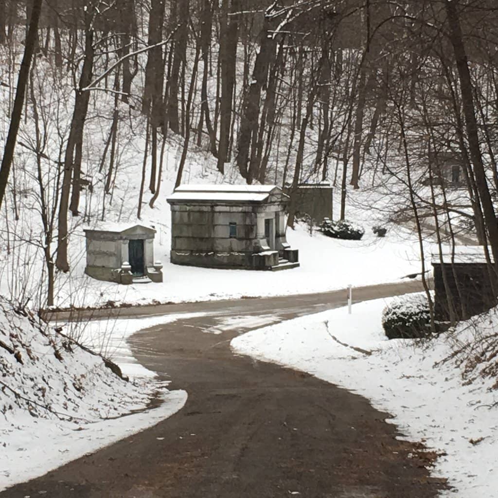 Idyllic Park Landscape