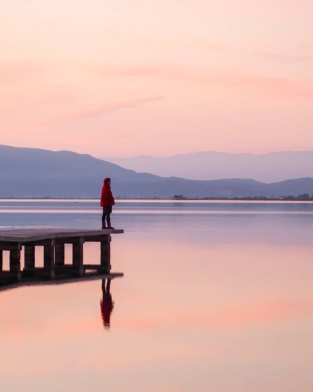 Salt Ponds & Wildlife