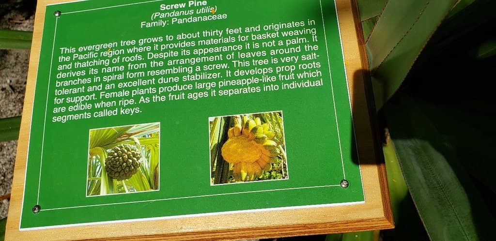 Meditation Labyrinth