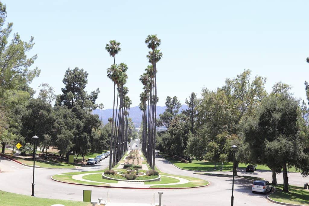 Doctor's House Museum