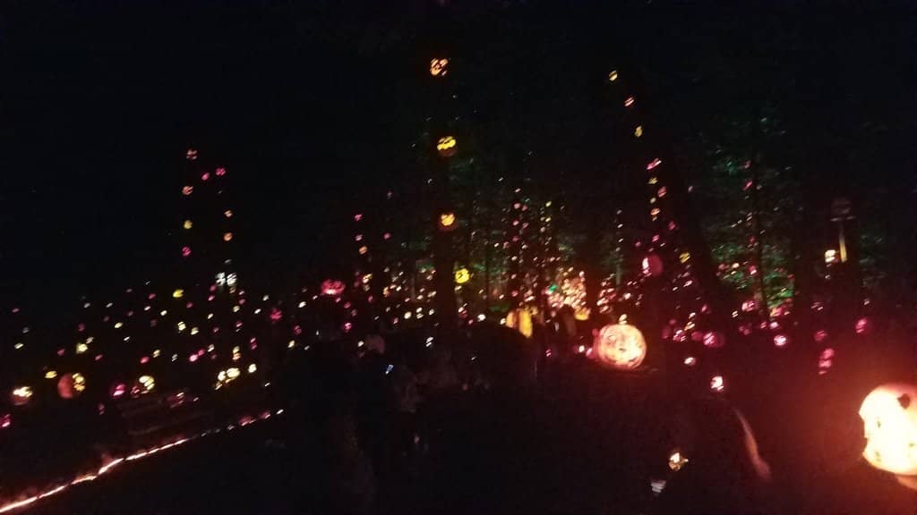 Iroquois Park Overlook