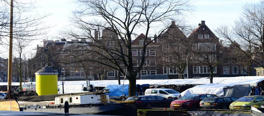 Organic Produce Paradise