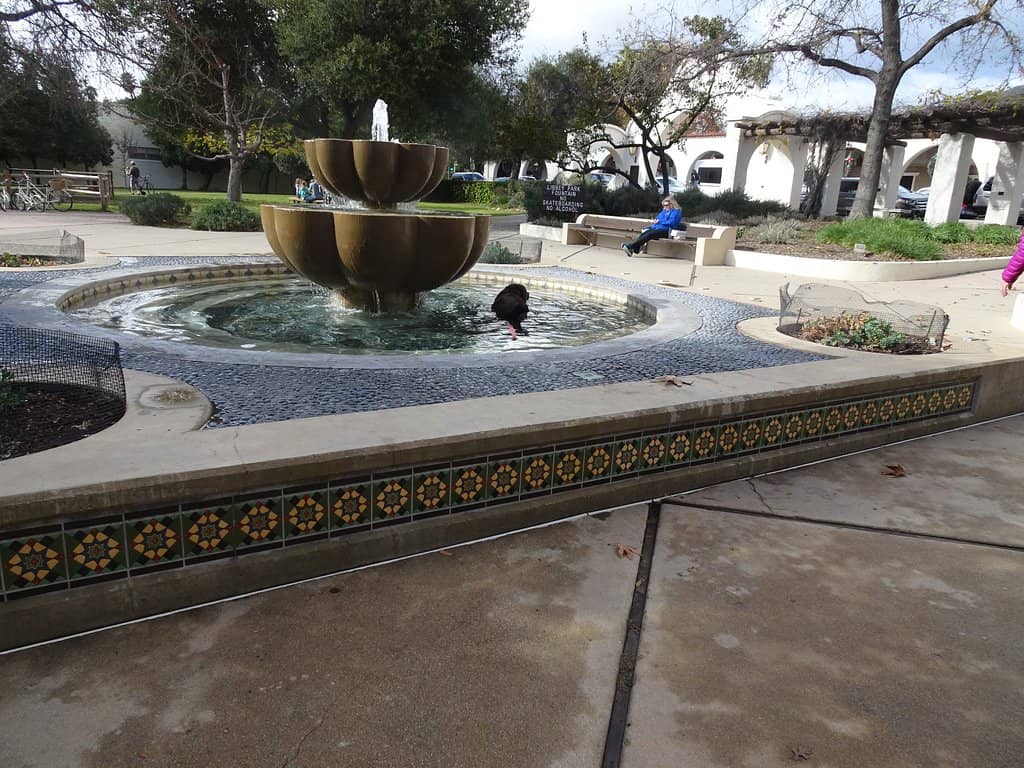 Ojai Valley Trail Access