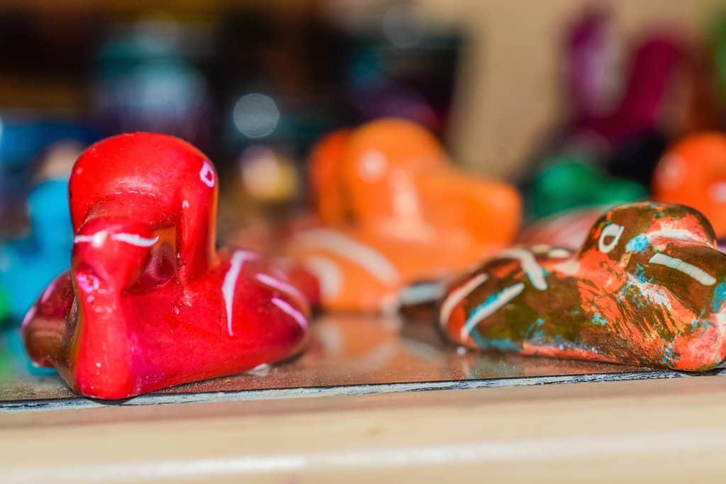 Feeding the Giraffes