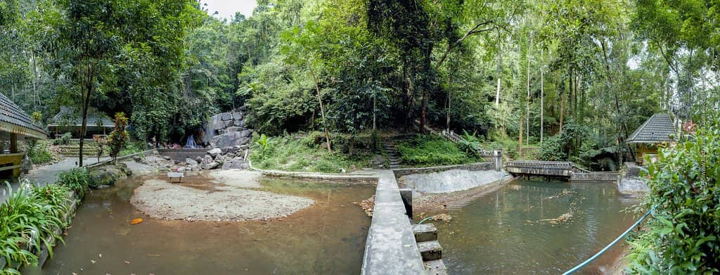 Jungle Trekking Path
