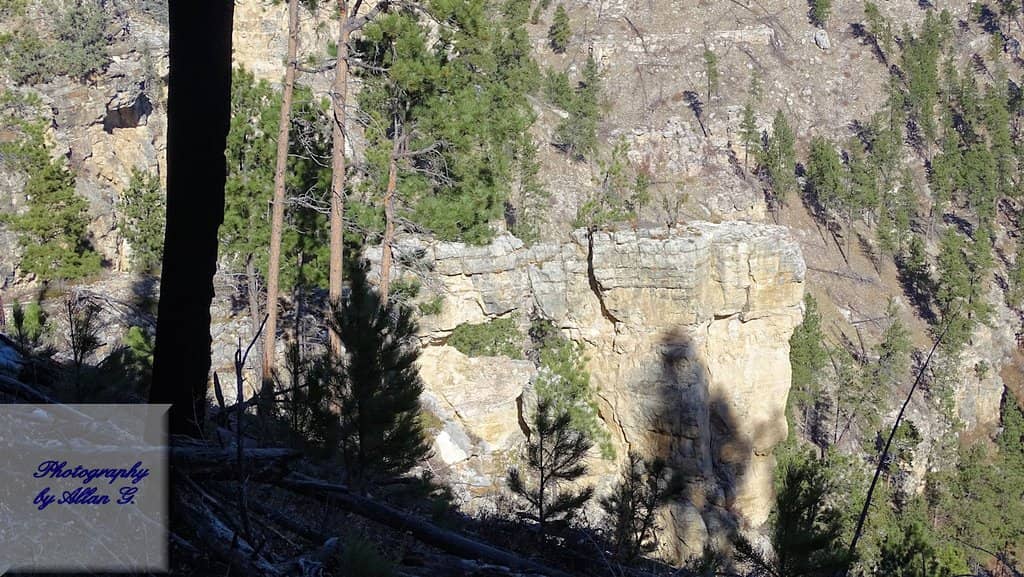 Vertical photo