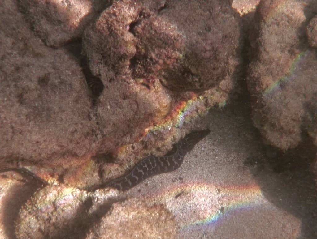 Gentle, Turquoise Waters