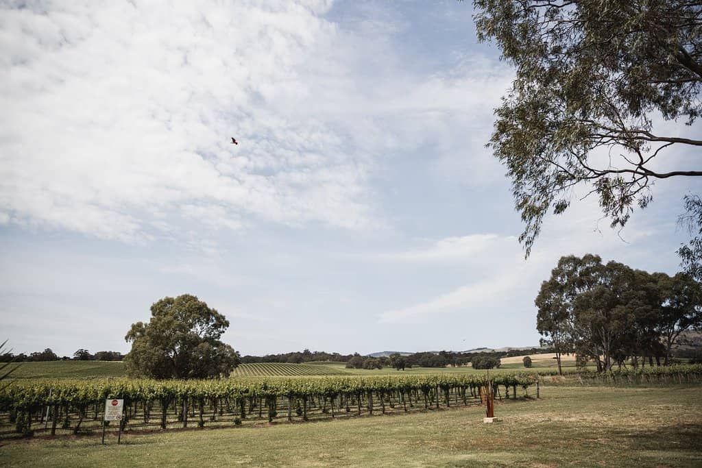 Family History & Stories