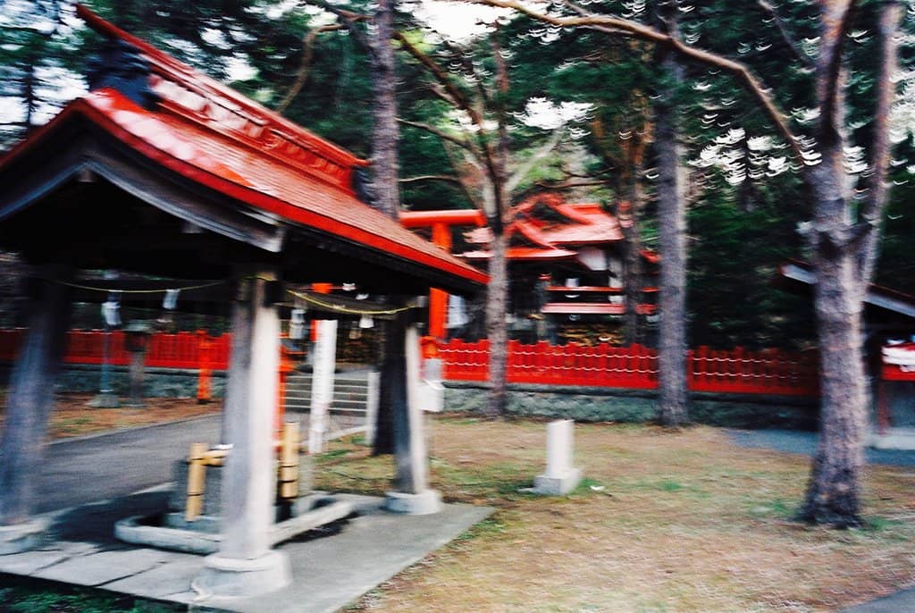 Vertical photo