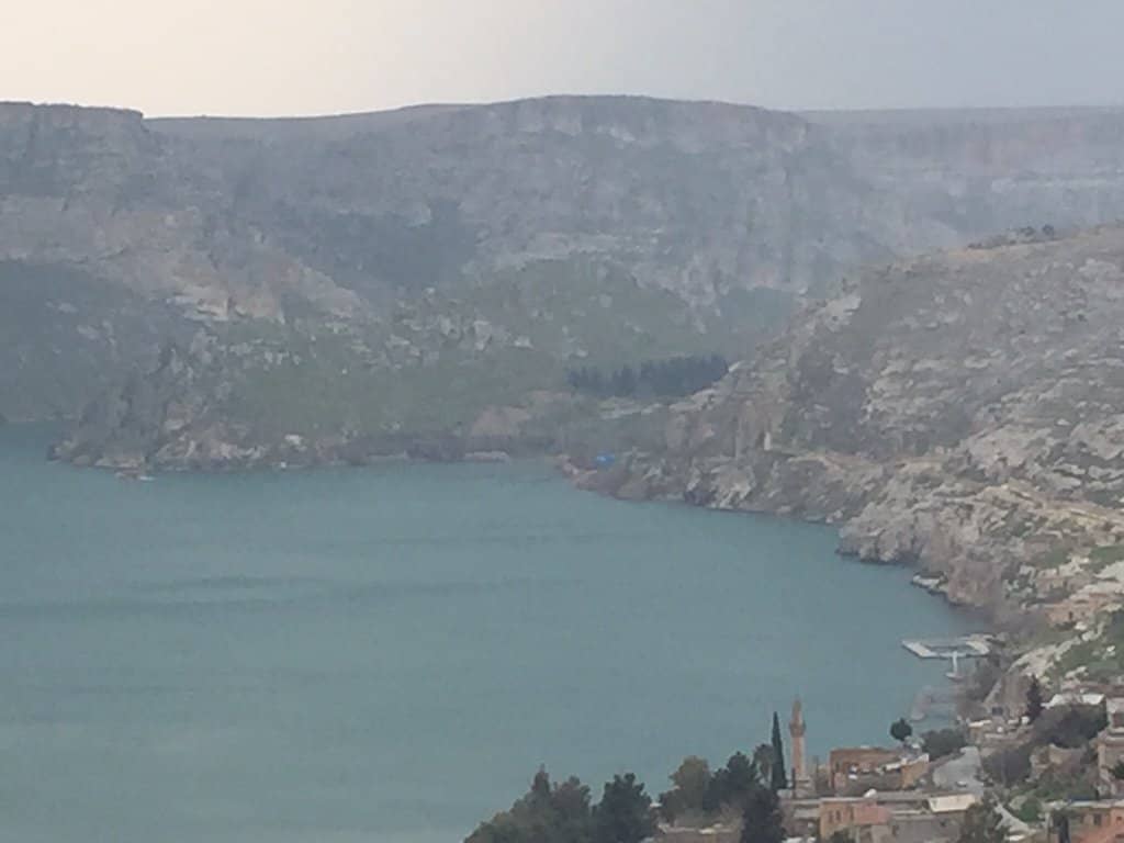 Black Roses of Halfeti