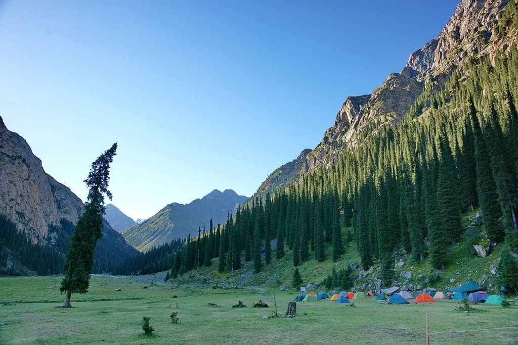 Alpine Meadows and Peaks