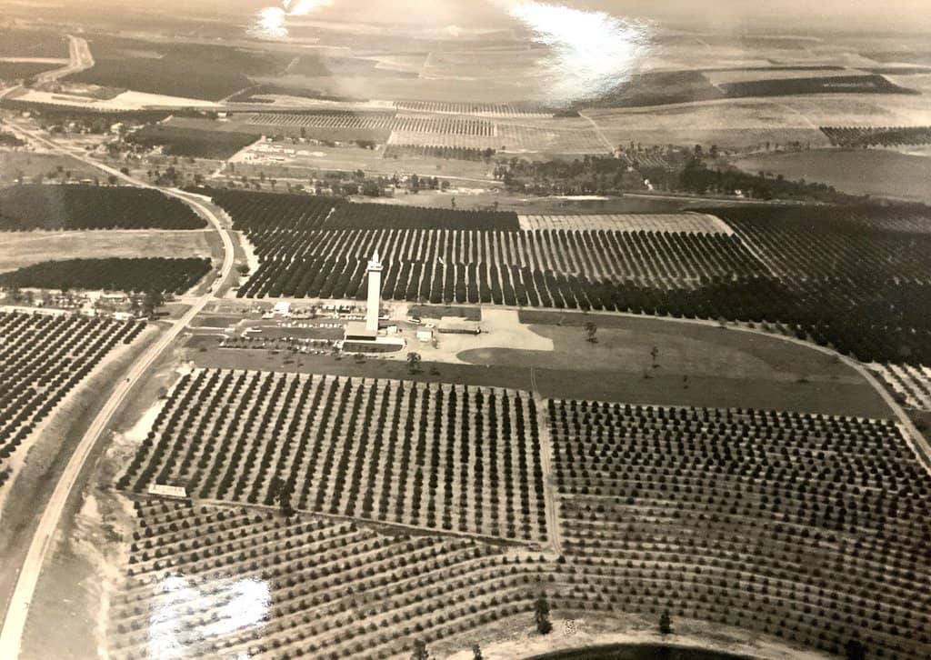 Historic Photos & Memorabilia