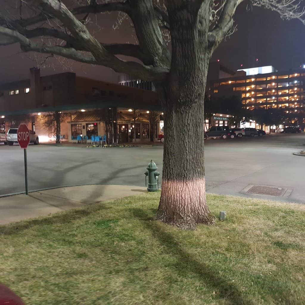 Afternoon Tea Experience