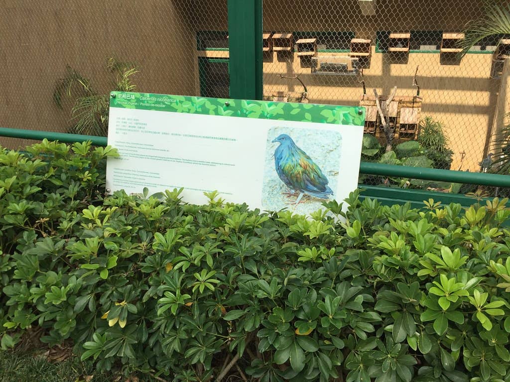 Mountain Foothill Setting