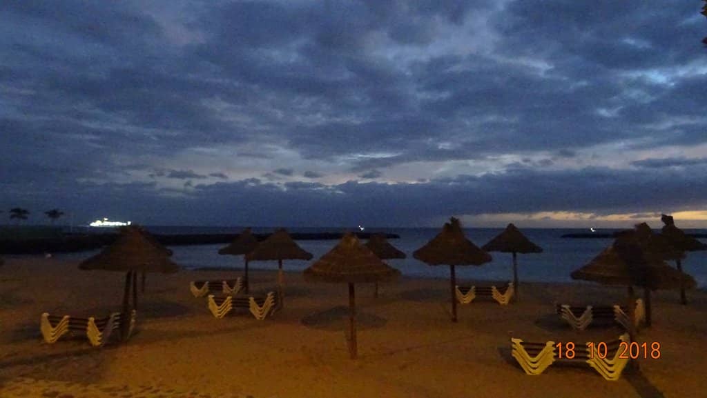 Rentable Sunbeds & Palapas