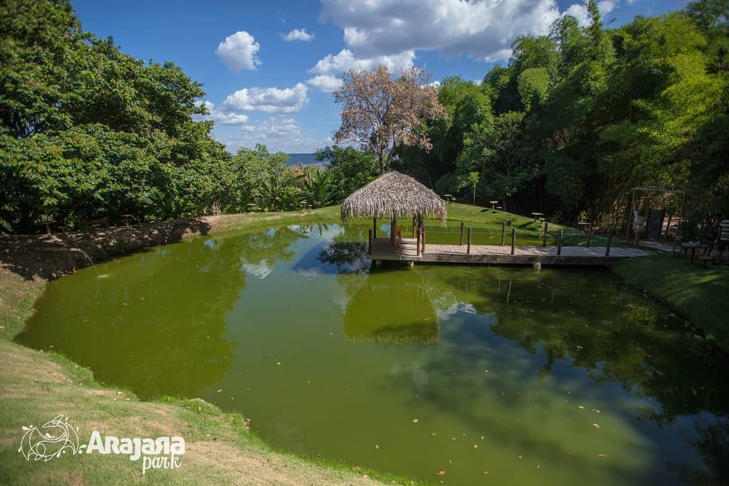Mirante do Picoto Views