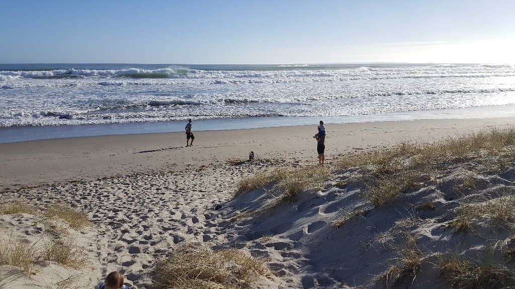 Birria Taco Delights