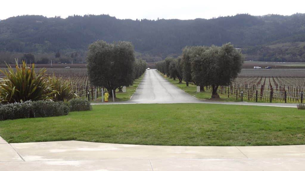 Sensory Tasting Experience