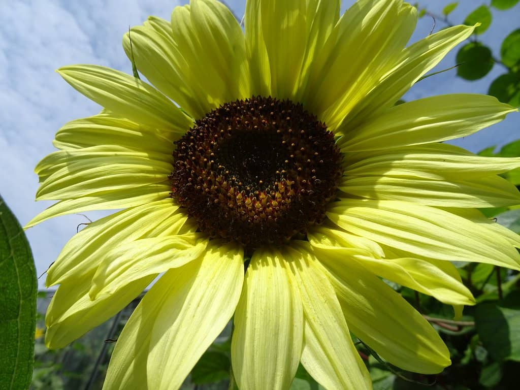 Peaceful Seating Spots