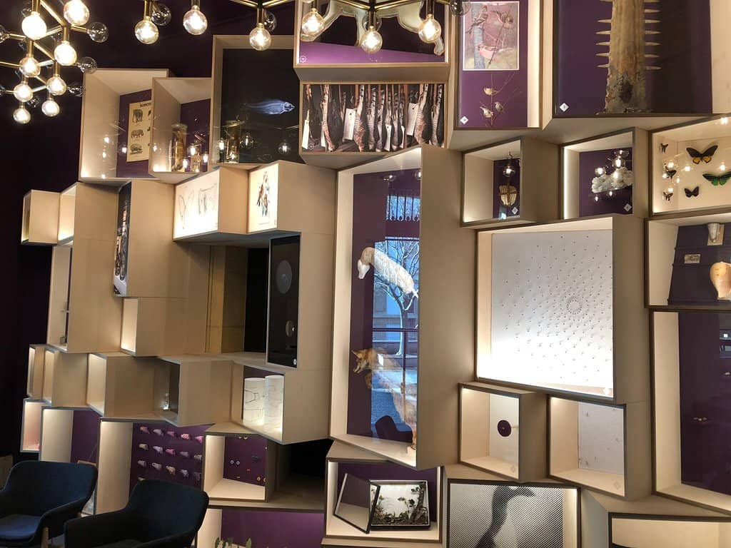 Native Wildlife Dioramas