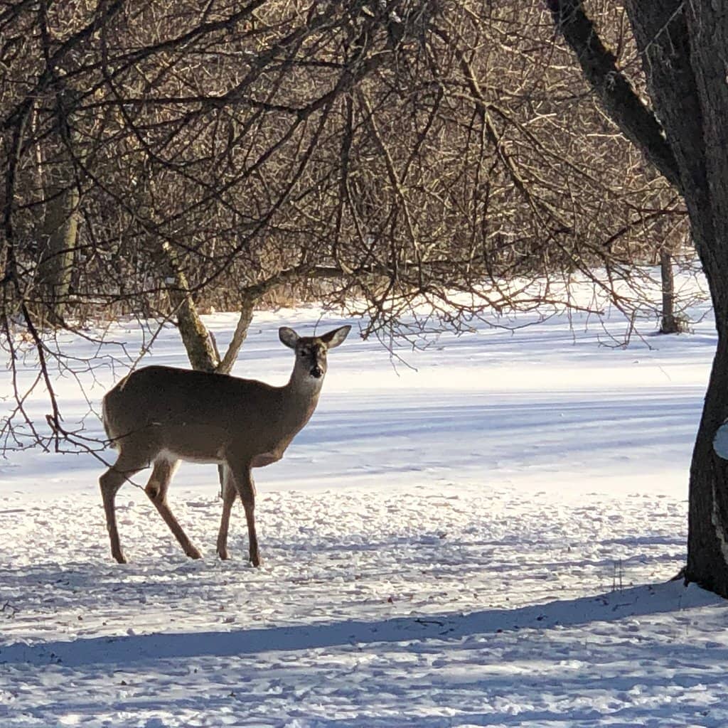 Well-Marked Nature Trails