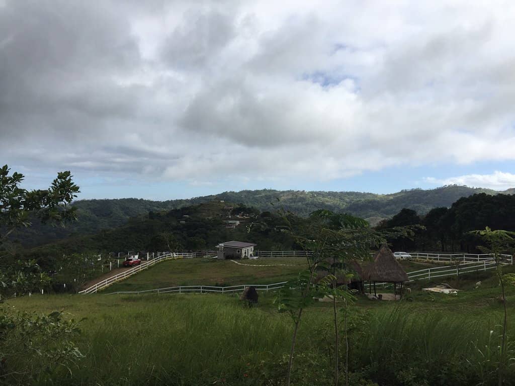 Summit Views & Serenity