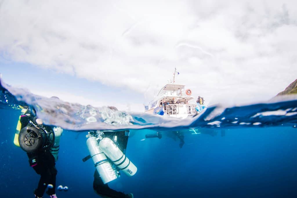 Poor Knights Islands