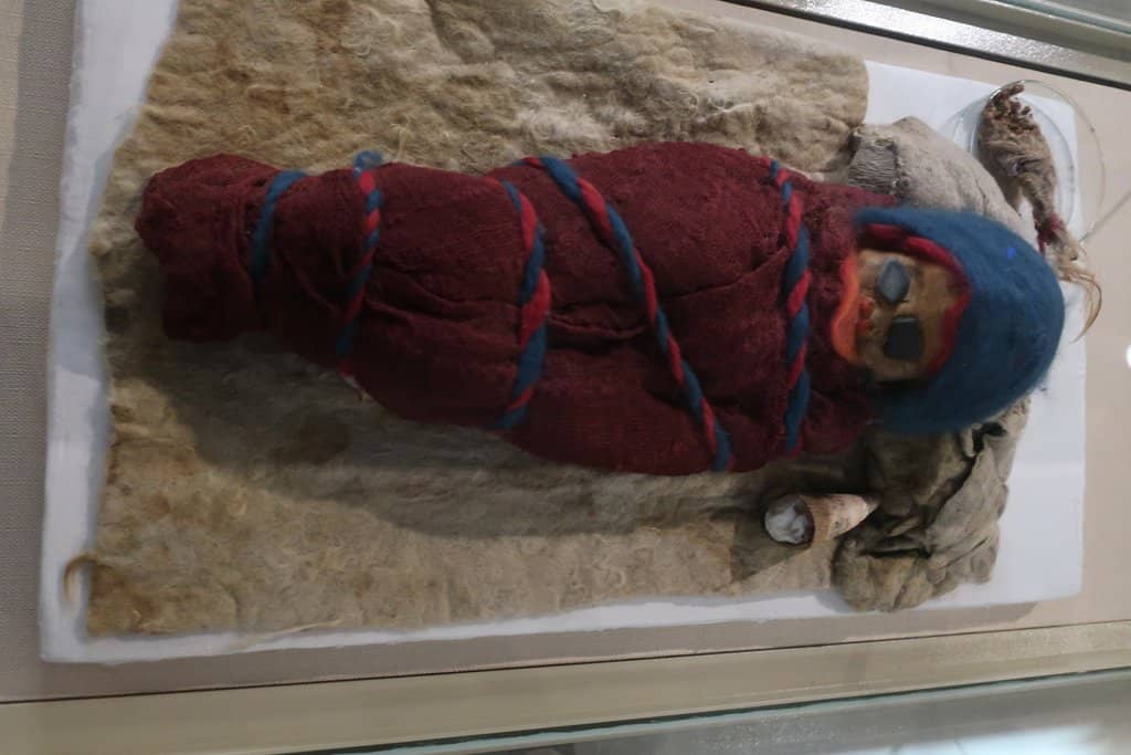 Ancient Mummified Remains