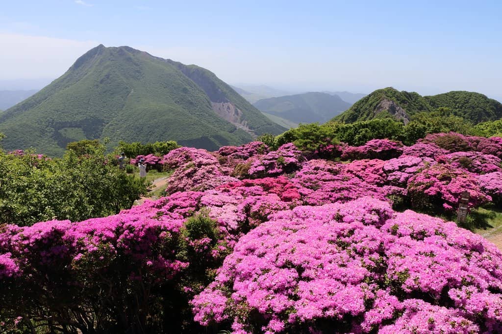 Panoramic City Views